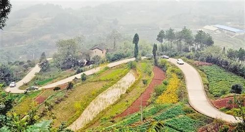 用愛(ài)心托起明天的太陽(yáng)——九九智能環(huán)?！皭?ài)心助學(xué)活動(dòng)“走進(jìn)新化縣楓木小學(xué)